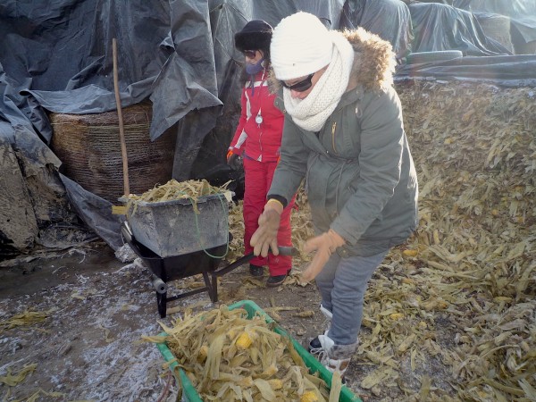 A borjaknak kézzel kell összetörni a csemege csöveket. Beavató munka a vendégeknek :)