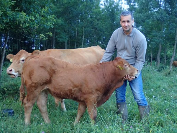 Andor egyre izmoltabb formát mutat