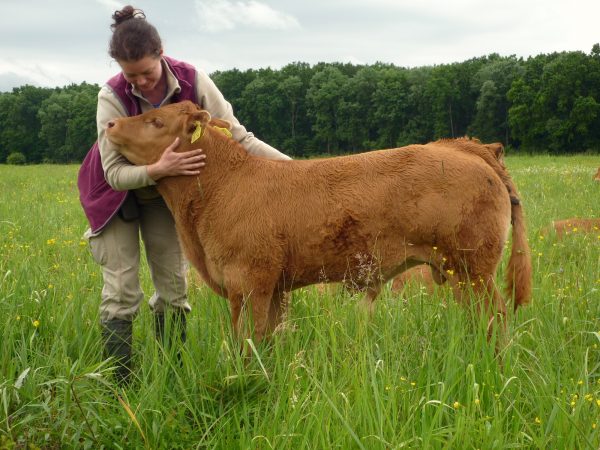 A lányokat is szereti