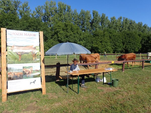 Kész a stand, indulhat a kiállítás :)