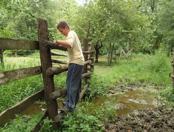 Máté a kapuk őrzője