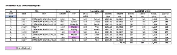 A születési testtömeget (40kg átlagot véve) számításba vevő napi tömeggyarapodás alapján számított 205 napra várt választási tömegek.